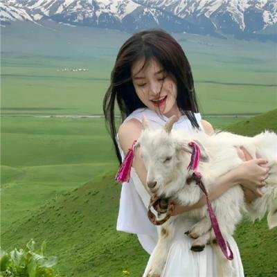 猎鹰的兄弟